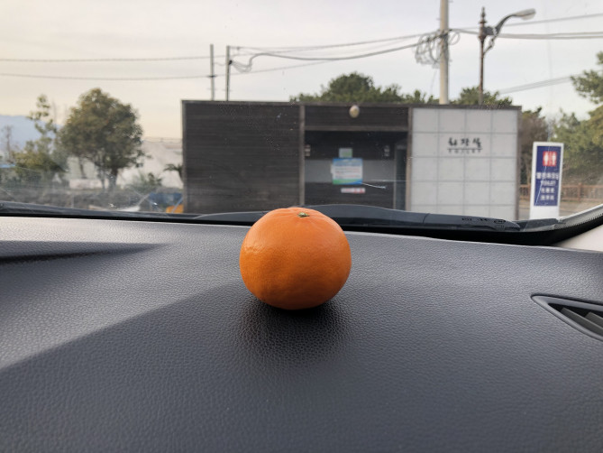 チェジュ島の名産みかん