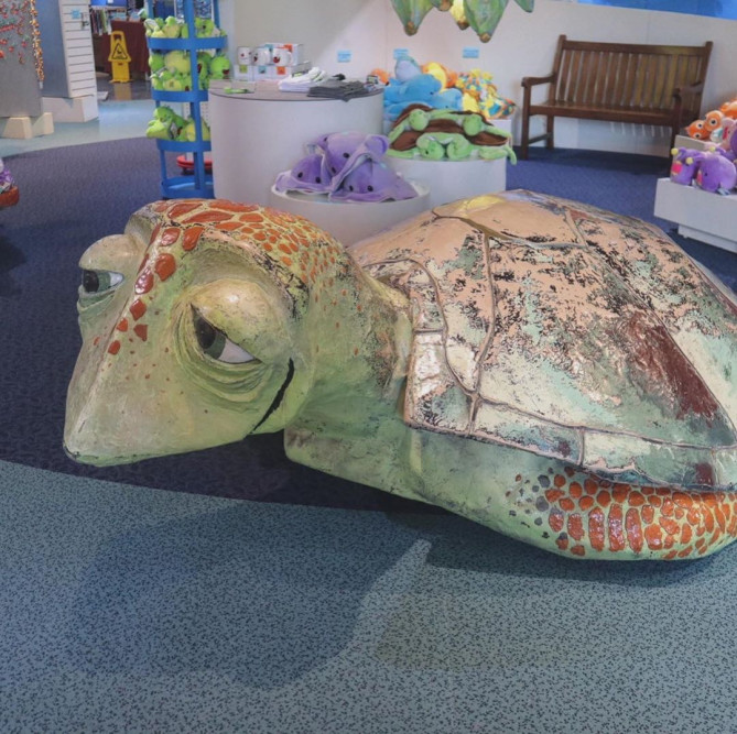 アンダーウォーターワールド：お土産コーナー