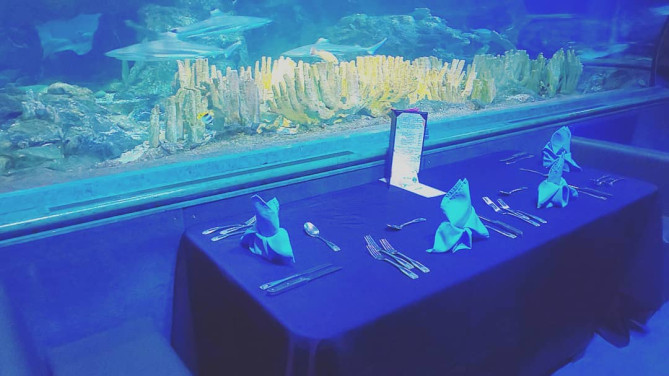 アンダーウォーターワールド：ディナーアンダーザシー