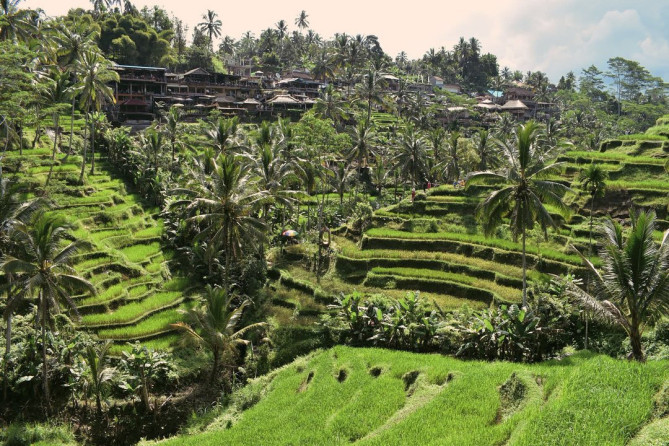 テガララン・ライステラス