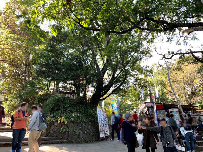 高尾山の山頂周辺