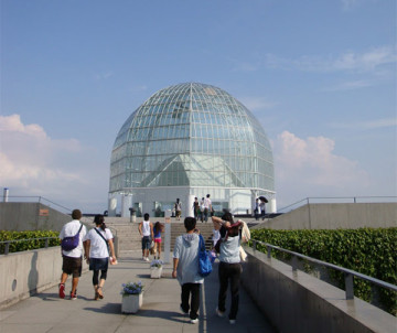 【最新】葛西臨海公園内の水族館まるわかりガイド！葛西臨海水族園の入園料やアクセス情報まとめ！