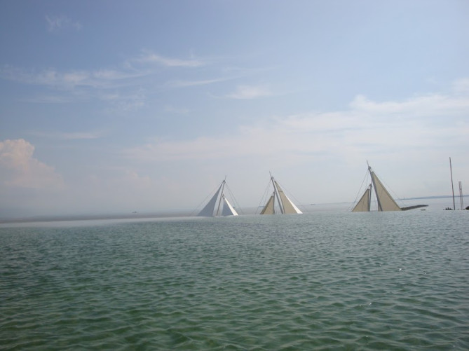 葛西臨海水族園からの景色