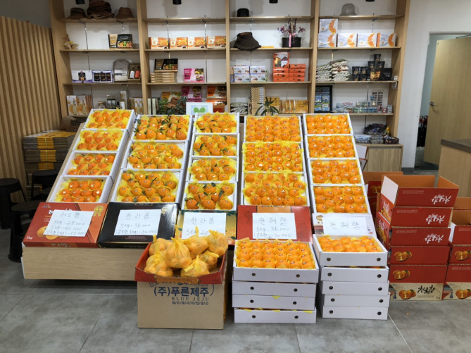済州島のみかんはお土産にも人気