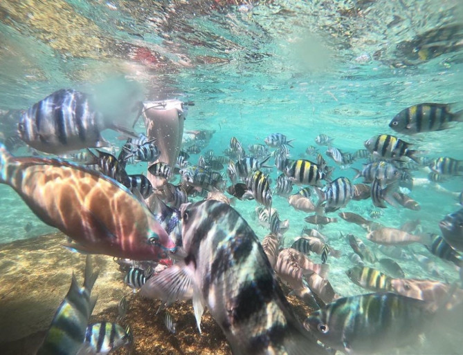 アイランドホッピング