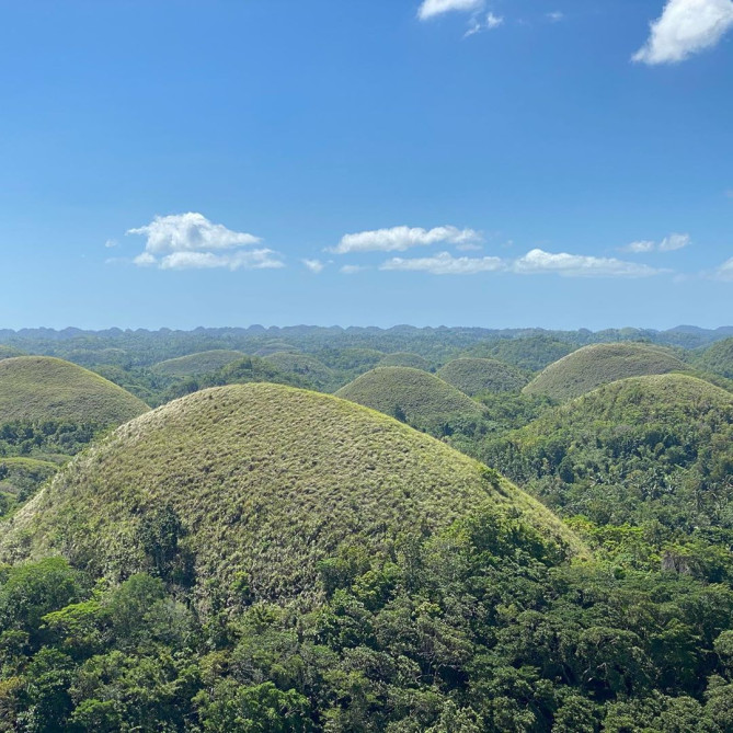 チョコレートヒルズ