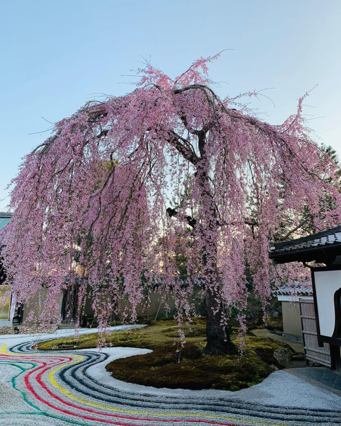 高台寺方丈庭園