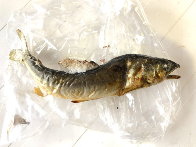 有限会社新力水産