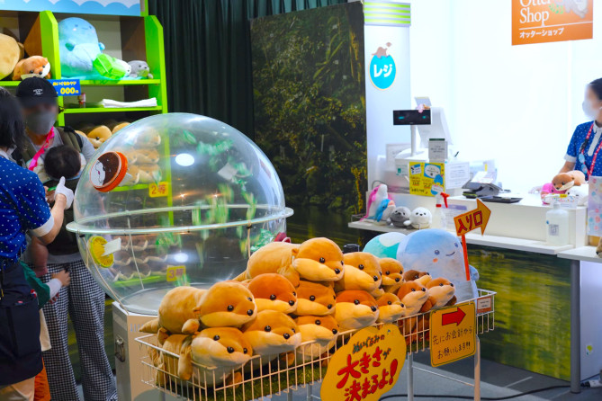 新江ノ島水族館（えのすい）お土産：販売場所