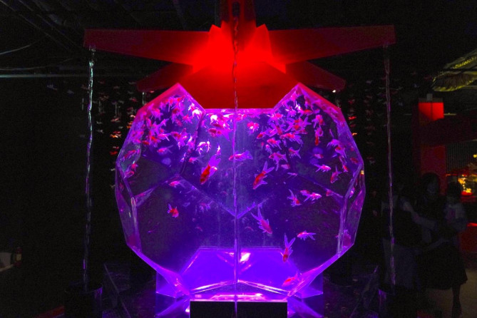 アートアクアリウム美術館 GINZA：オリガミリウム
