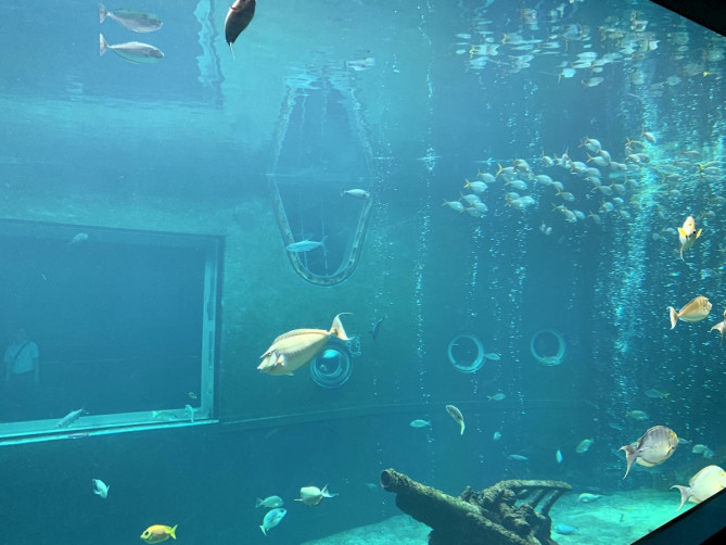 箱根園水族館