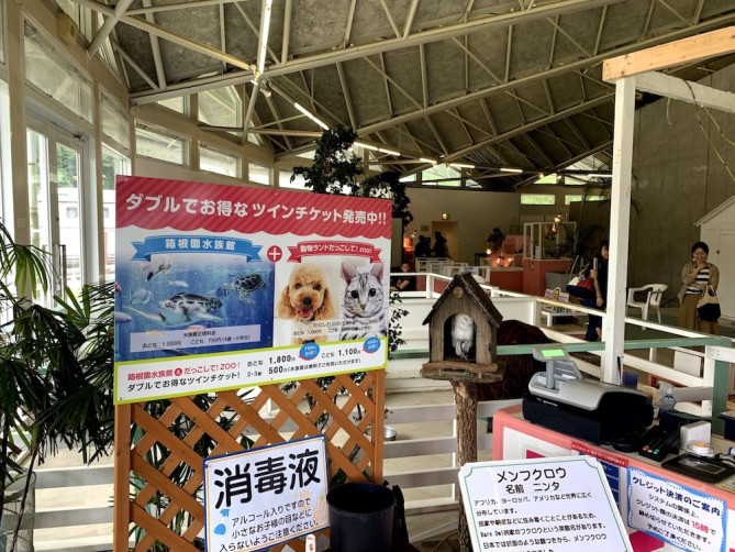 体験レポ 水族館 動物園が楽しめる箱根園 料金 アクセス ランチ お土産 周辺情報も