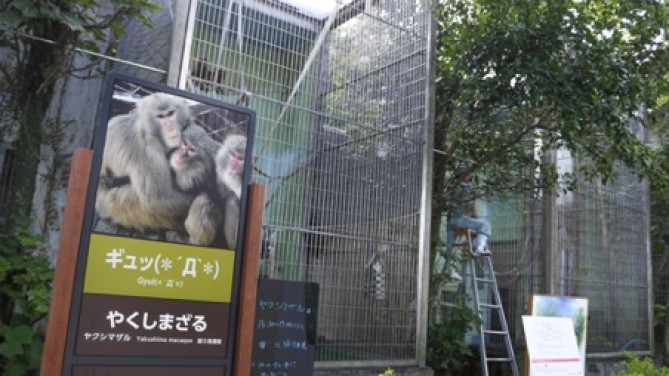 やくしまざる/「沖縄こどもの国」