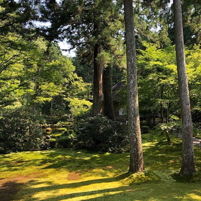 自然も豊かな三千院