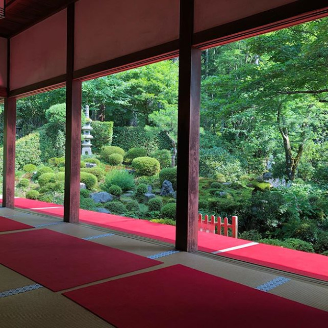 風情のある三千院