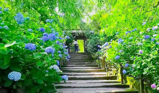 明月院