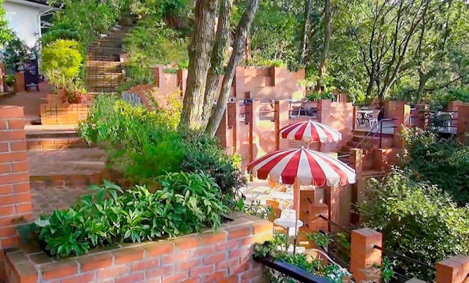 樹ガーデンの様子