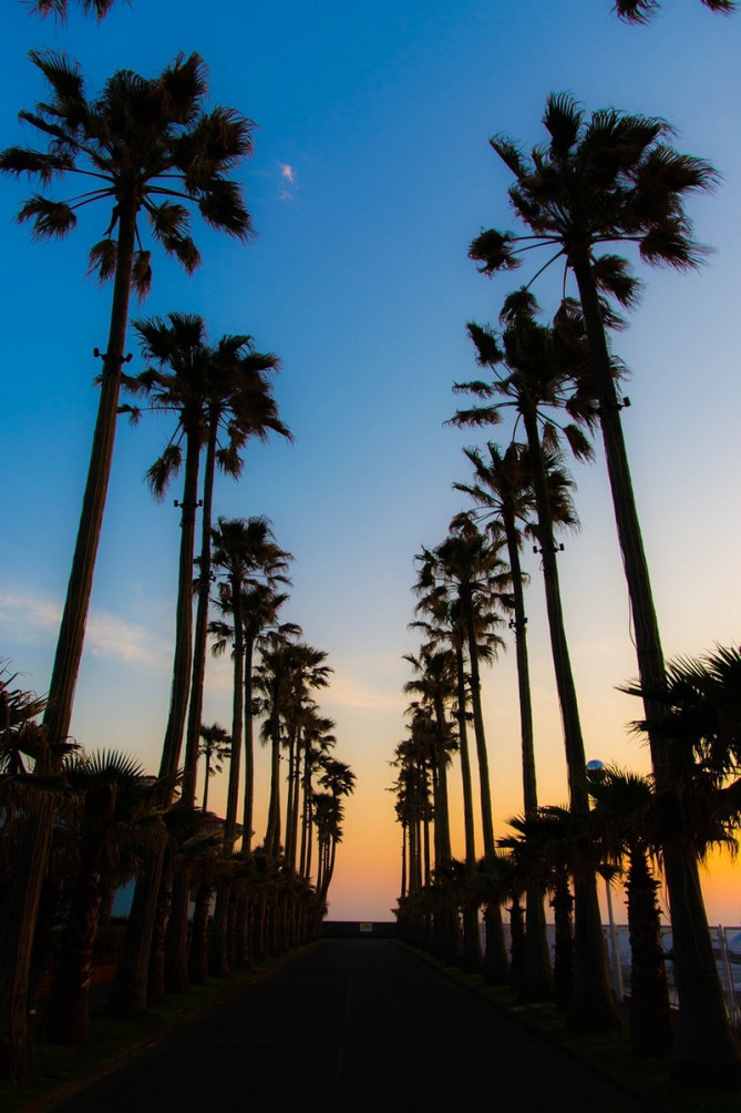 カリフォルニアのような雰囲気を味わえますよ♪