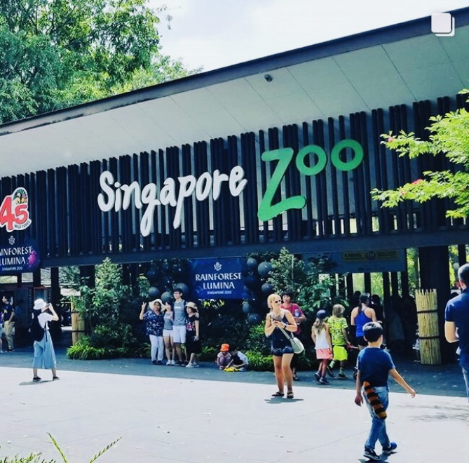 シンガポール動物園