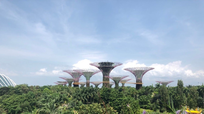 ガーデンズ・バイ・ザ・ベイにある人工樹木