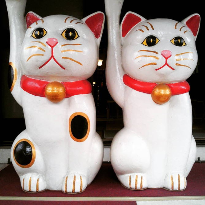 猫づくしと縁結びで有名な今戸神社