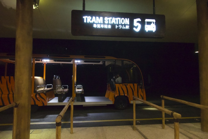 サファリツアーのトラム