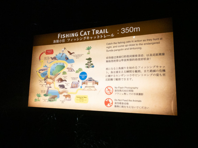 フィッシングキャットトレイル