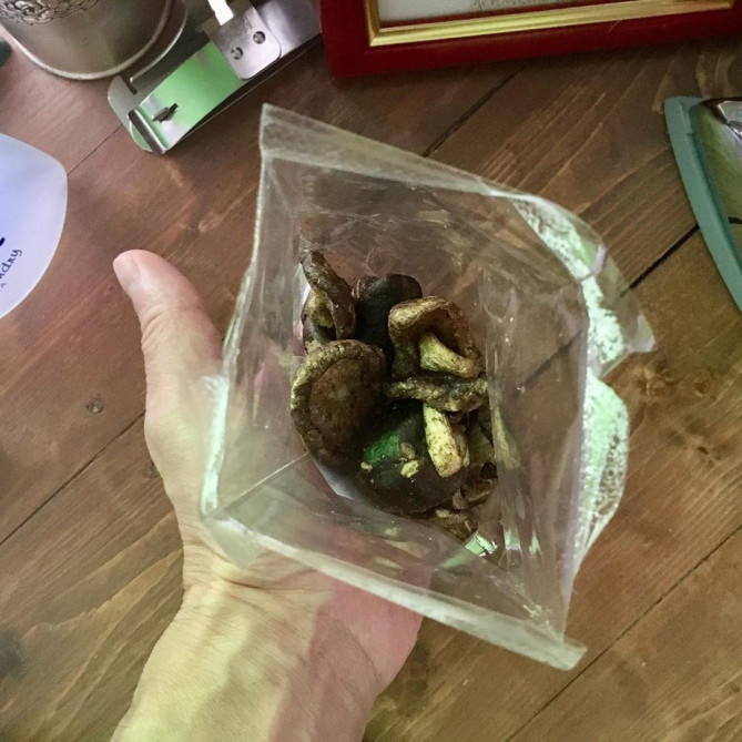 しいたけチップス