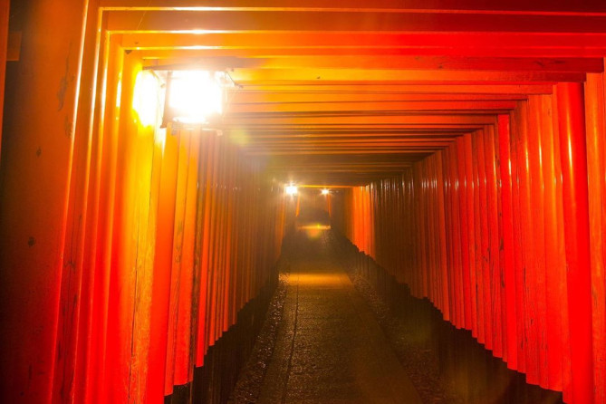 ライトアップされた千本鳥居