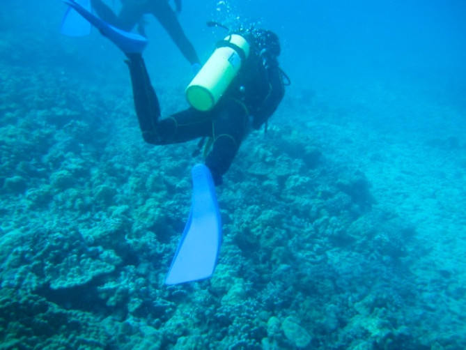 ディープブルーなハワイの海