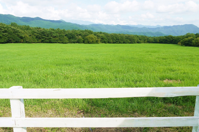 花畑牧場