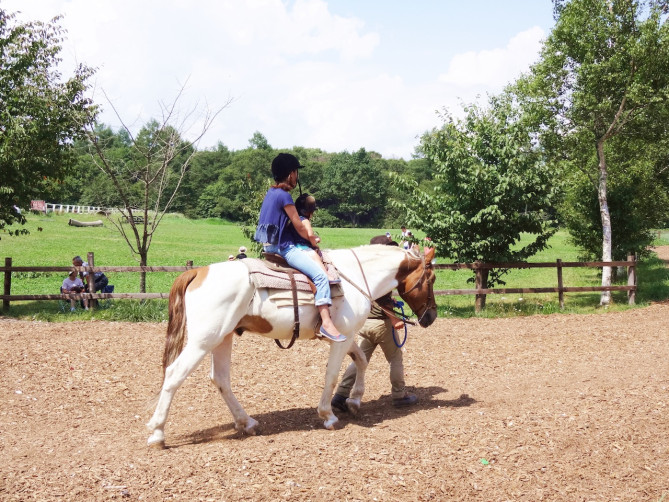 ノーザンホースパーク