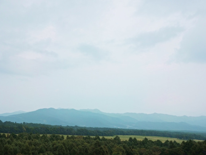 ファームズ千代田