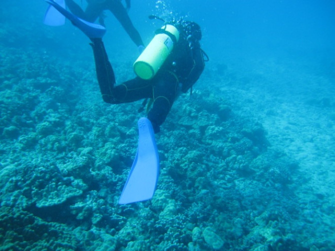 ハワイブルーの海