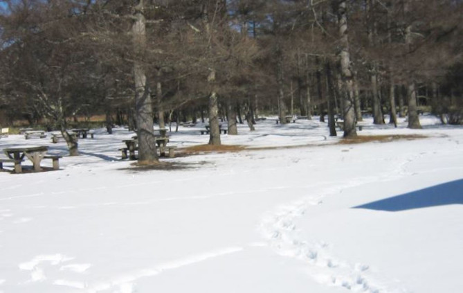 真っ白なゲレンデ