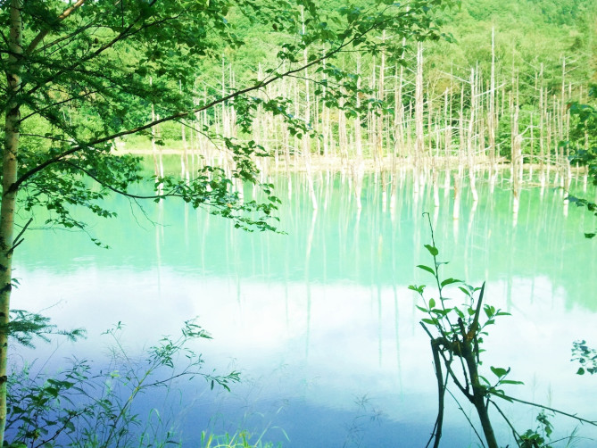 青い池