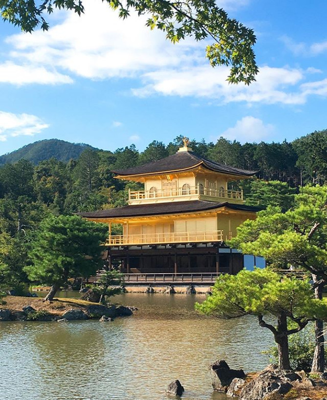 庭園との対比が素晴らしいです