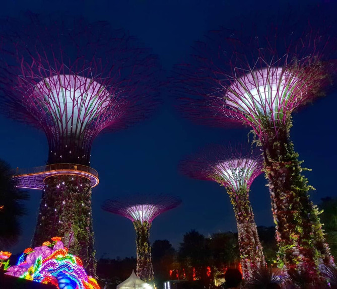 近未来のような人工の木・スーパーツリー