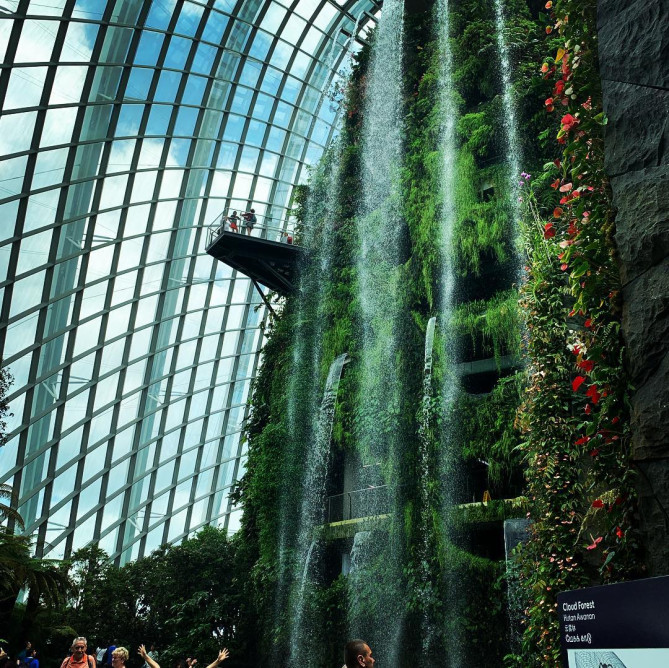 人工の滝があるクラウドフォレスト