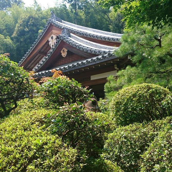 鈴虫寺