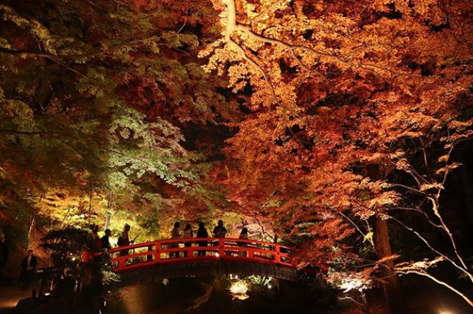 北野天満宮の梅苑♪