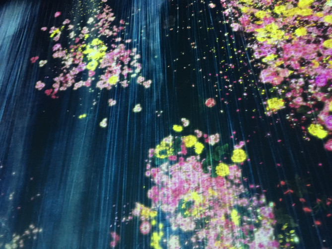 チームラボボーダレス お台場