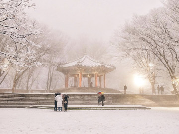 極寒 韓国の冬のおすすめコーデ特集 流行りのアウターから防寒対策まで 旅行