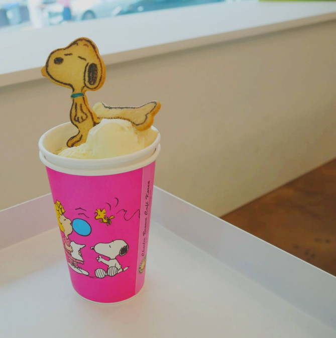 ビビッドカラーのカップがかわいいです