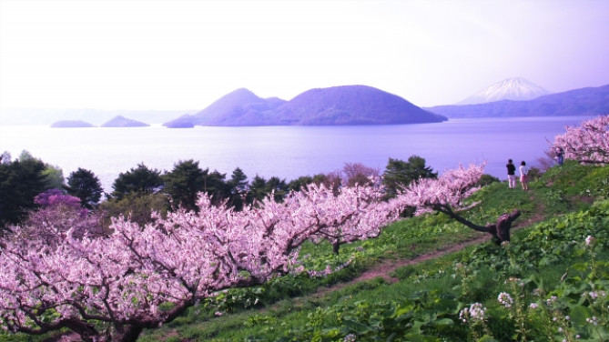 壮瞥公園の梅林と雪の残る羊蹄山