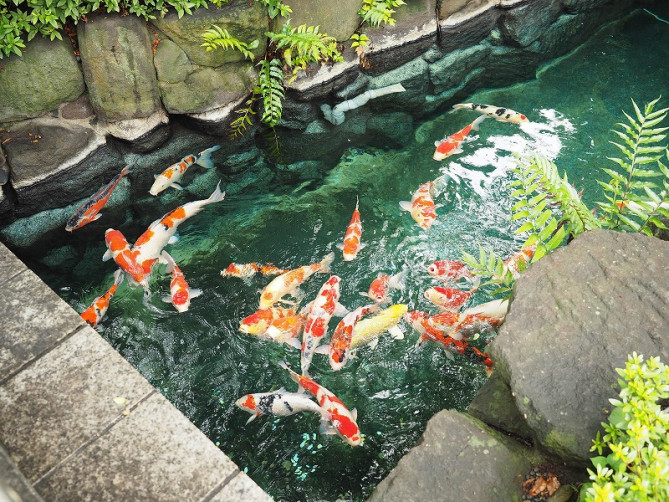 影向堂では周辺も大変美しいです