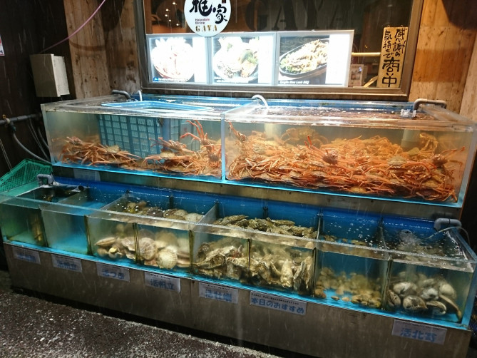 雅家の店外にある水槽