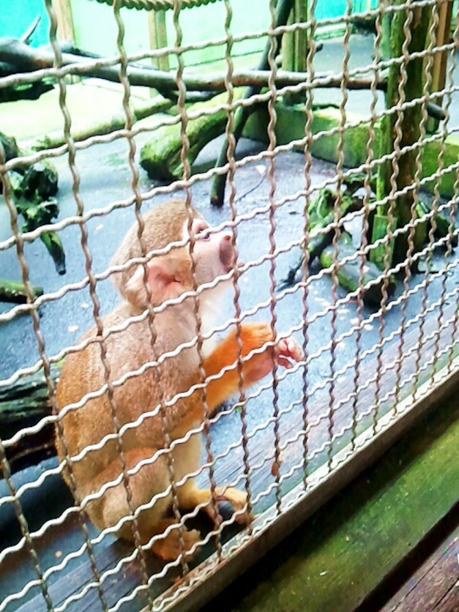 おびひろ動物園