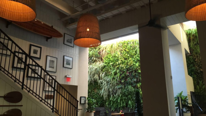 トミーバハマの店内