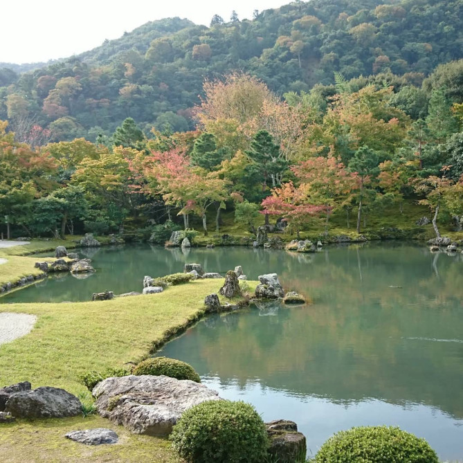 紅葉が人気の天龍寺